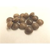 1/2" Long Shank Walnut Mushroom Buttons